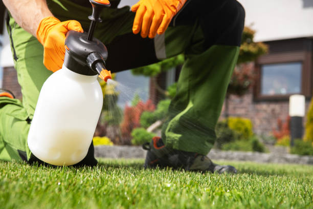Best Affordable Pest Control Services  in Gregory, SD