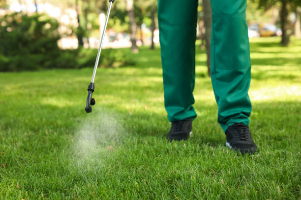 Best Emergency Pest Control  in Gregory, SD