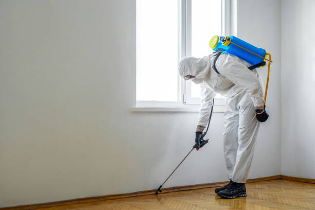 Best Wildlife Control Services  in Gregory, SD