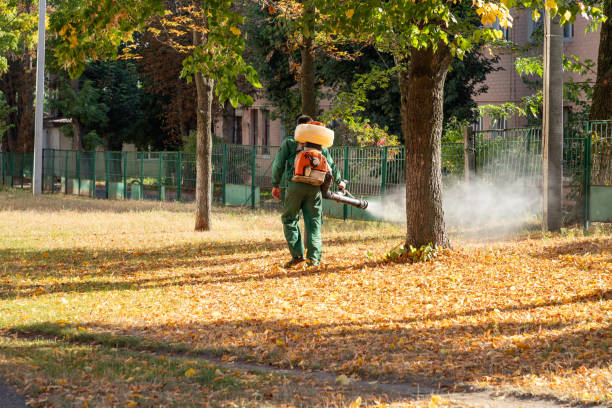 Best Affordable Pest Control Services  in Gregory, SD