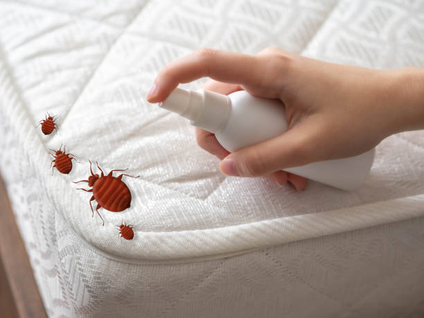 Best Pest Removal Services  in Gregory, SD