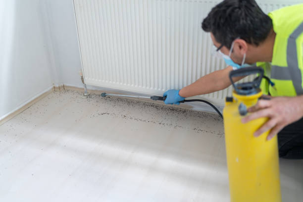 Best Termite Control Services  in Gregory, SD