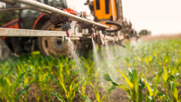 Best Insect Control  in Gregory, SD