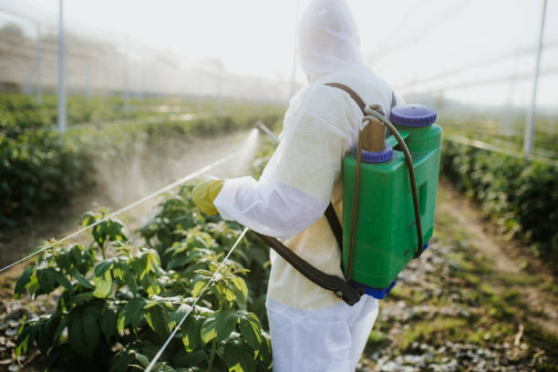 Best Bed Bug Extermination  in Gregory, SD